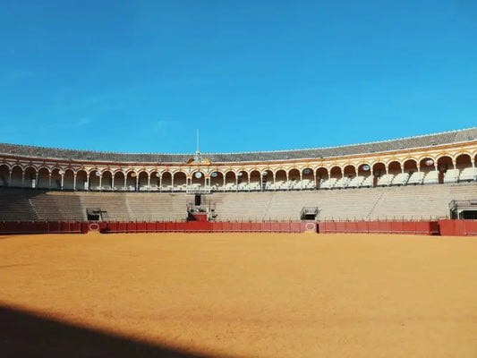 Arènes de Dax L'Heure du Sud