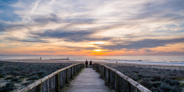 montre en bois pour femme