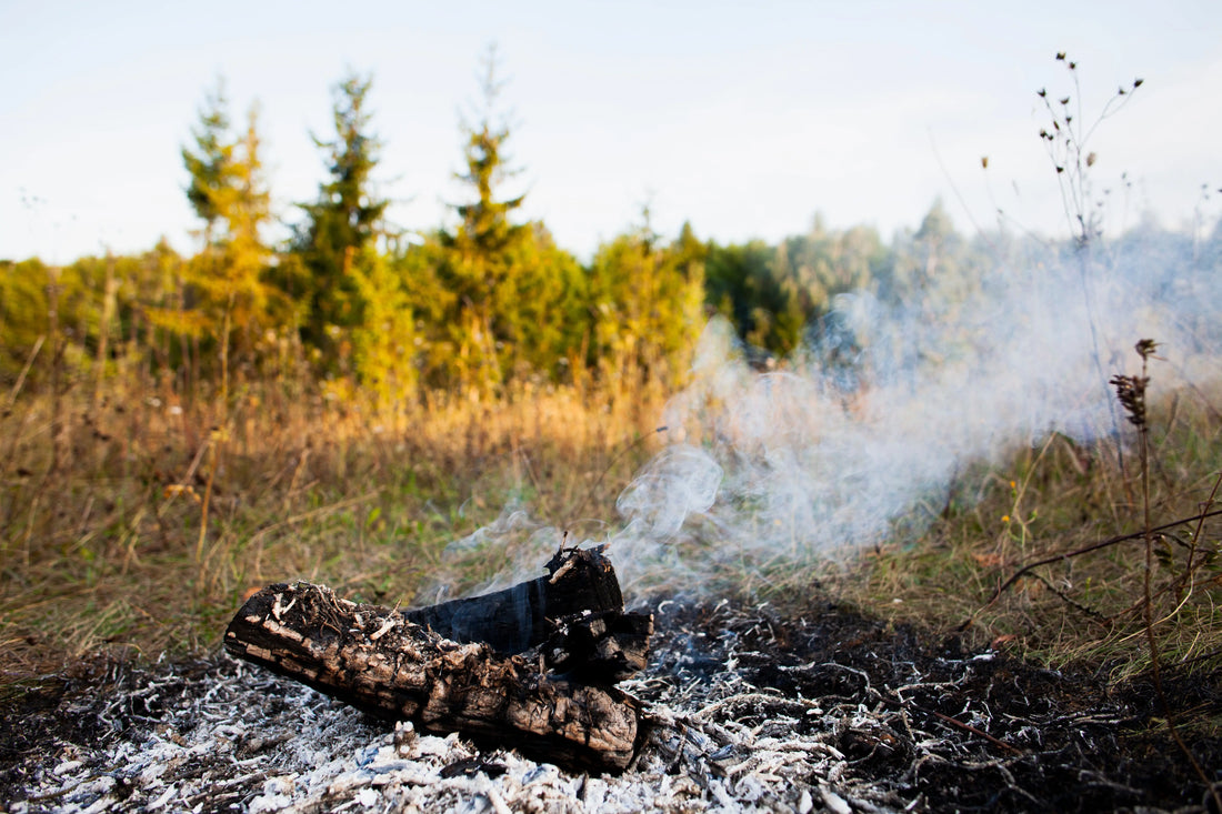feu de foret