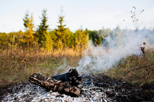 feu de foret