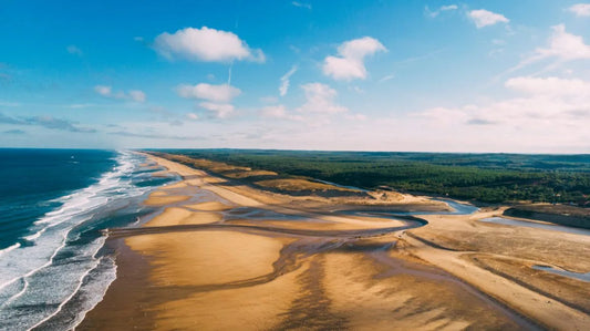 La forêt des Landes est-elle la plus grande forêt d’Europe ?